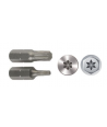 Puntas de atornillar Tx TX40 (25)