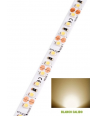 ROL5 LYNX-P 9,6/12BC IP20     UN