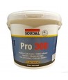 COLA BLANCA DE EXTERIOR PRO 30D -D3- 5 K