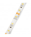Rollo LED Lynx Basic 4,8W/m IP20 (12V DC), longitud 5m, Luz blanca fría 6.000K, Plástico