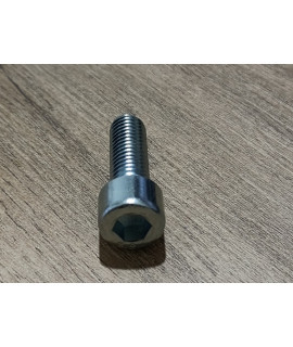 Tornillo de culata Mafell M10x30-8.8