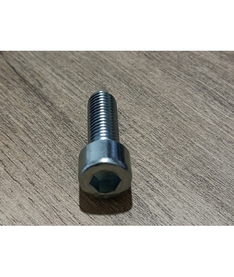 Tornillo de culata Mafell M10x30-8.8